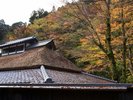 紅葉の頃の御食事処「懐石茶や 水音」(11月下旬〜12月中旬)
