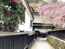 東府や 本館〜西館