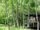 【妖精の森のヨガルーム】森に溶け込む静かな空間で、呼吸とともに心身を整えるひとときを