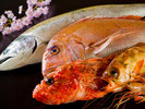 【旬の海の幸】季節ごとに厳選した新鮮な魚介を、素材の持ち味を活かしてご提供いたします。
