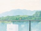 ロビー|景色