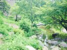 中庭
