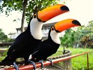 ネオパークオキナワ