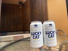 昭和レトロ南館。風呂上りはパティオでLUCKY CATビール!サイコーじゃん!動画はYouTubeやインスタで!