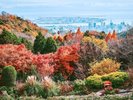 神戸布引ハーブ園