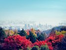 神戸布引ハーブ園(C)一般財団法人神戸観光局