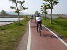琵琶湖沿いにサイクルロードが整備されています。