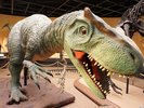 【車で約15分】栃木県の自然や歴史が学べる「栃木県立博物館」