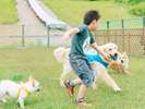 ■スキージャムドックランパーク 宿泊時無料