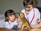 ���������{���[�������߂ɐg��Z���ċC���͂܂��Ɂg�������m�h�^50���ā^5�����