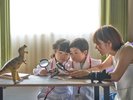 ■恐竜ルーム 和洋室(ツインベッド+6畳)1〜5名【禁煙】 わくわく体験のはじまり!