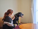 ■ドッグフレンドリールーム 洋室1〜3名【禁煙】ワンちゃんと楽しいひとときを