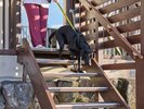 ■ドッグフレンドリールーム 洋室1〜3名【禁煙】わんちゃんのお部屋の出入りはこちらから