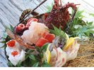 伊勢海老地魚盛り合わせ