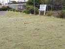 第二駐車場に虎ロープを引き直しました。区画が見やすくなりました。