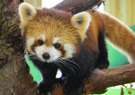 【伊豆シャボテン動物公園】沢山の動物たちと触れ合えます。
