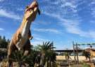 【伊豆ぐらんぱる公園】お子様から大人まで楽しめます。ホテルから車で約30分