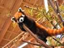 【伊豆シャボテン動物公園】沢山の動物たちと触れ合えます。