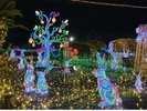 【伊豆高原グランイルミ】昨年とは違った魅力のフォトジェニックなスポットが満載です!