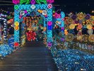 【伊豆高原グランイルミ】今シーズンは10thアニバーサリー!様々なイベントも開催されます!!