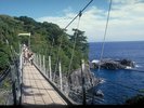 【城ケ崎海岸】城ケ崎橋立つり橋:当ホテルから23.2�q(37分)※写真提供:伊東市観光課