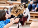 【松江フォーゲルパーク】湖畔に広がる花と鳥の楽園。当館からお車でおよそ30分。