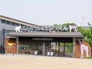 天王寺動物園