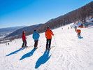 札幌藻岩山スキー場