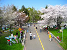 農試公園