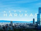 ���ׂ̃n���J�X
