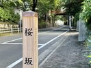 【桜坂】ホテルより徒歩9分。歌で有名な坂で、桜の名所としても知られています。朱色の橋が特徴的です。