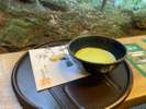 鎌倉 報国寺の抹茶