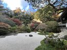 鎌倉 報国寺 庭園