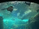 新江ノ島水族館 電車+徒歩で約20分で到着します!