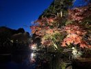 鎌倉 長谷寺 夜間拝観(毎年11月下旬〜12月上旬ごろ)