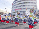 おはら祭 写真協力: K.P.V.B