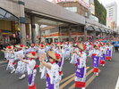 おはら祭 写真協力:K.P.V.B