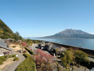 仙巖園からの桜島 写真協力:K.P.V.B