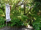 唐船峡そうめん流し 写真協力: K.P.V.B