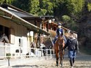 近くの乗馬クラブにて乗馬体験(有料)
