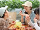 いちご狩り体験(有料)