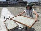 和田島名産しらす漁の見学体験☆