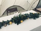 焚き火ラウンジの夏のセッティング