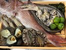 魚介づくしBBQプラン