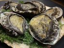 漁港直送!新鮮鮑をBBQでいかがいたしましょうか?