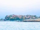 小松島リゾートとライオン島