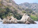 名物のライオン島