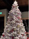KOMAでクリスマスディナー☆ホワイトツリーがお出迎え☆