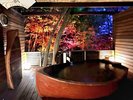 イルミネーション