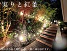 イルミネーション